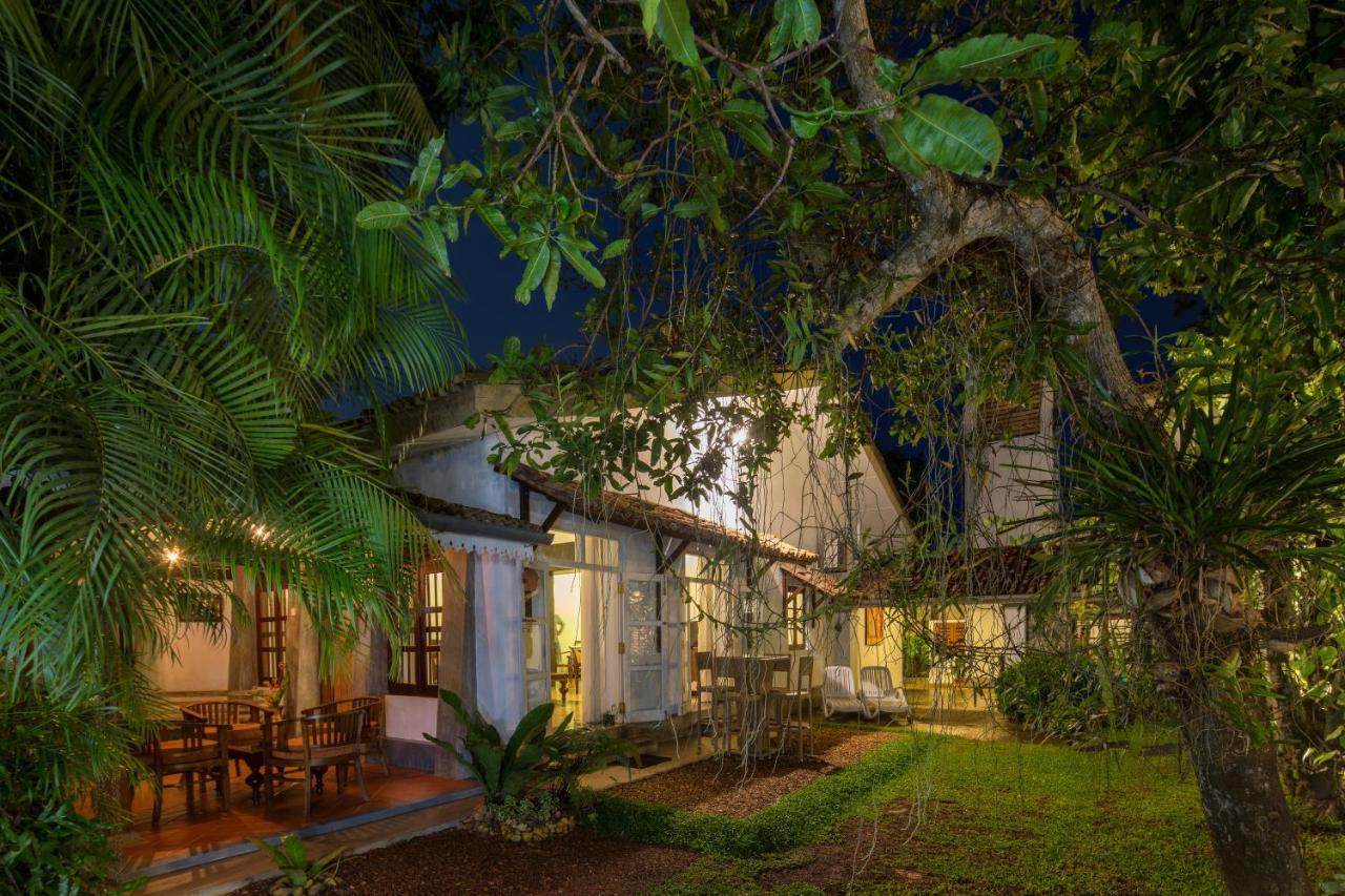 Hotel Bilin Tree House à Galle Extérieur photo
